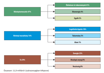 Biomassza felhasználási diagram különböző kategóriákban Diagram a biomassza felhasználásáról növénytermesztés, növényi maradvány és fa kategóriákban.