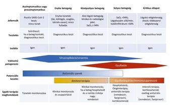COVID-19 betegség súlyossági fokozatai és kezelési lehetőségek COVID-19 betegség különböző súlyossági fokozatai, jellemzők, tesztelés, izolálás, patogenezis, kezelési lehetőségek és terápiás megfontolások.