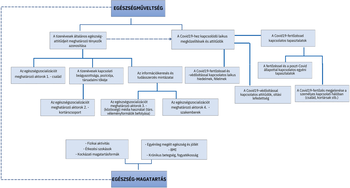 Egészségműveltség és egészségmagatartás folyamatábra Folyamatábra az egészségműveltség és egészségmagatartás összefüggéseiről, tizenévesek és Covid19.