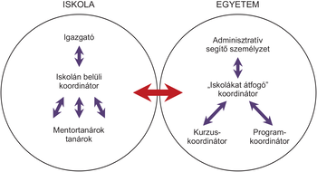 Iskola és egyetem közötti koordinációs struktúra Diagram az iskola és egyetem közötti koordinációs struktúráról, szereplőkkel és kapcsolatokkal.