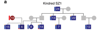 Kindred SZ1 családfa diagram Családfa diagram, amely a Kindred SZ1 nevű családot ábrázolja, különböző személyekkel és kapcsolatokkal.