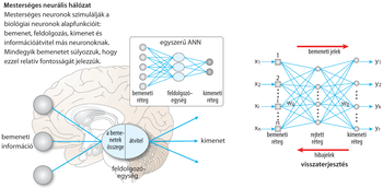 Mesterséges neurális hálózatok működése és felépítése Diagram a mesterséges neurális hálózatok működéséről, bemeneti, feldolgozó és kimeneti rétegekkel.