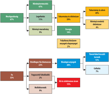 Mezőgazdaság és faipar termékeinek megoszlása Diagram a mezőgazdaság és faipar termékeinek és melléktermékeinek százalékos megoszlásáról.