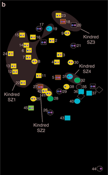 Színes geometriai alakzatok Kindred csoportokban Színes geometriai alakzatok különböző csoportokban, Kindred SZ1, SZ2, SZ3 és SZ4 feliratokkal.